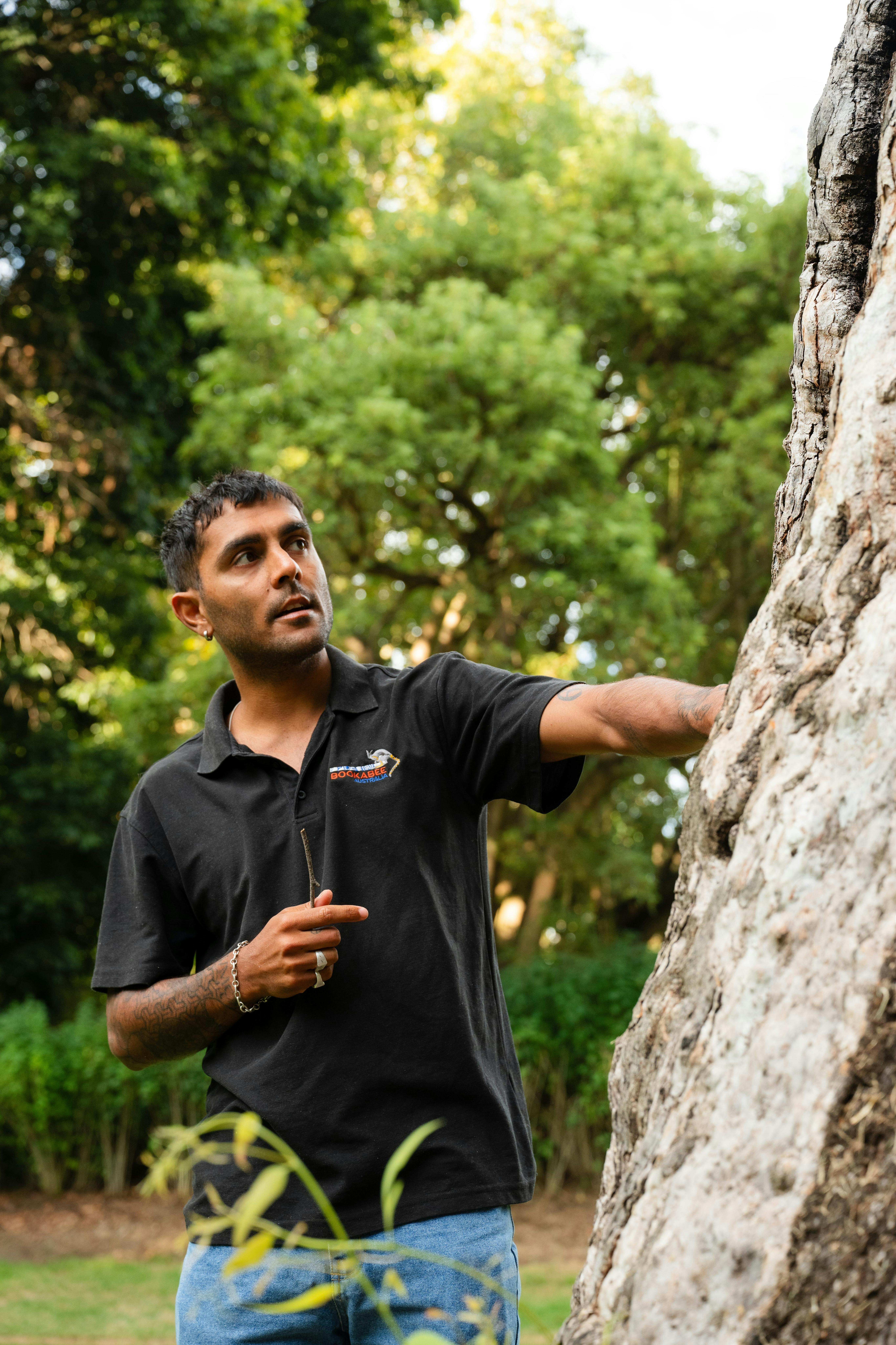 Tjimari sharing information about a gum tree