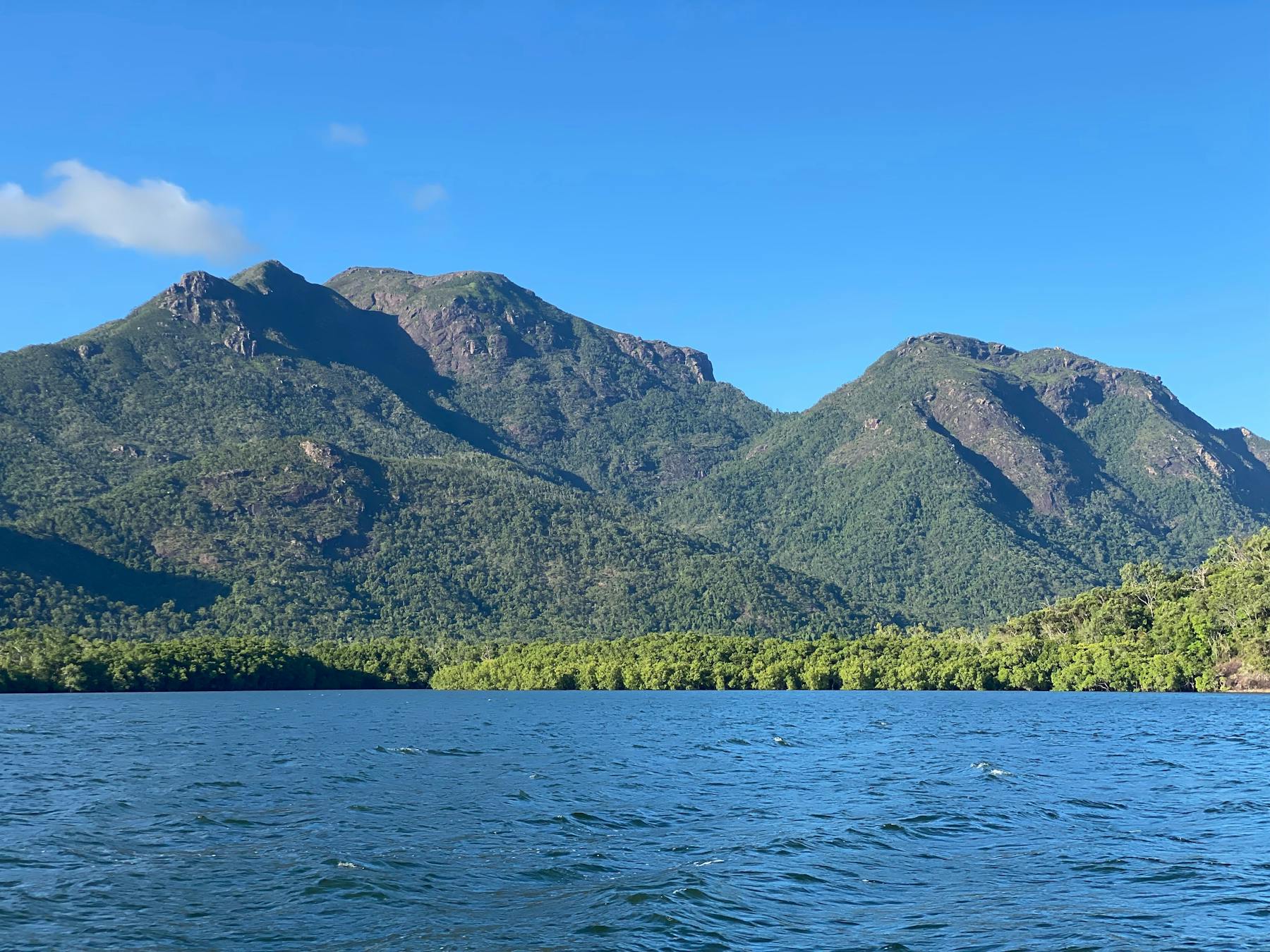 Mount Diamontina riseing from the mangroves is a sight to be seen