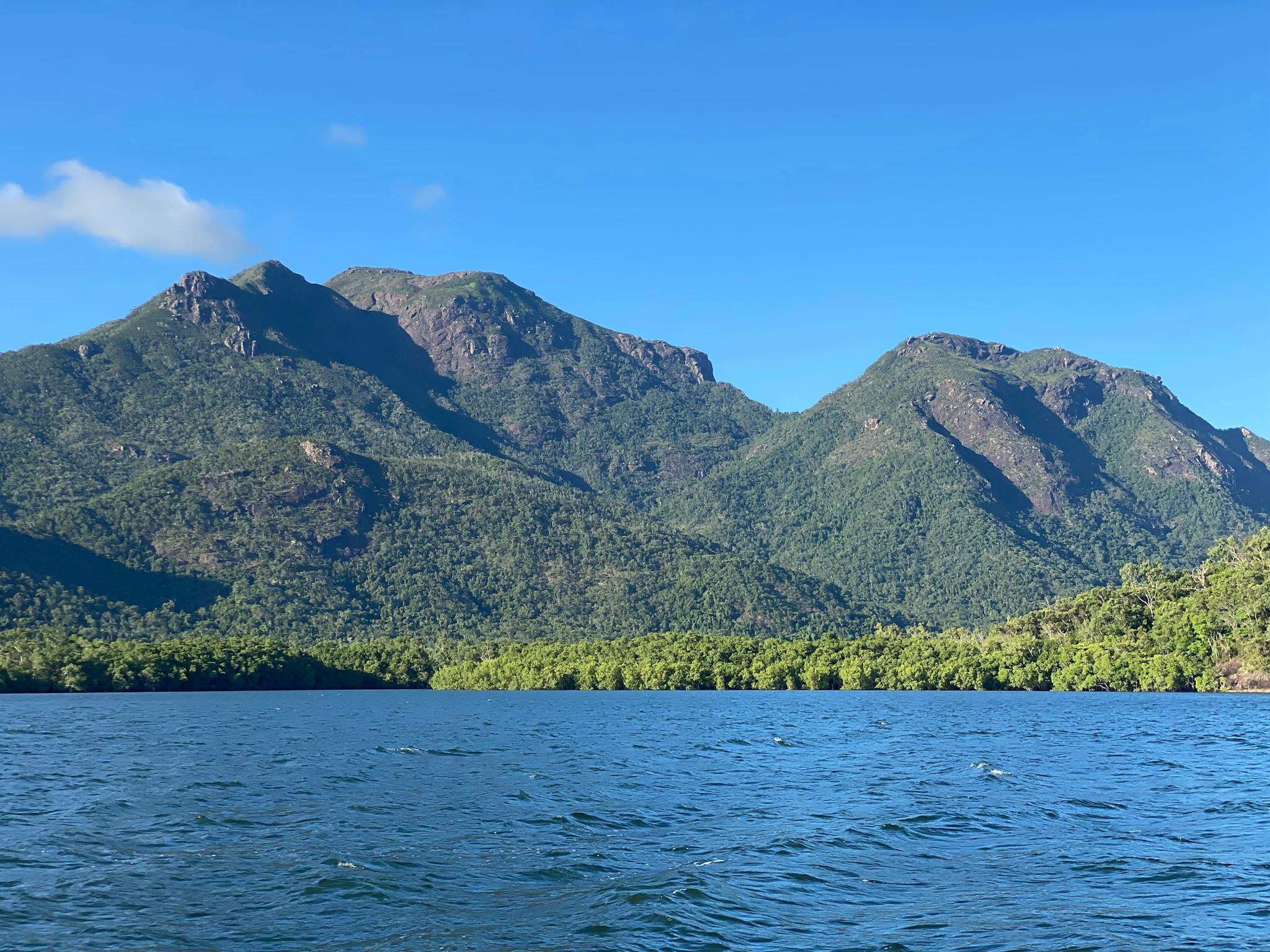 Mount Diamontina riseing from the mangroves is a sight to be seen