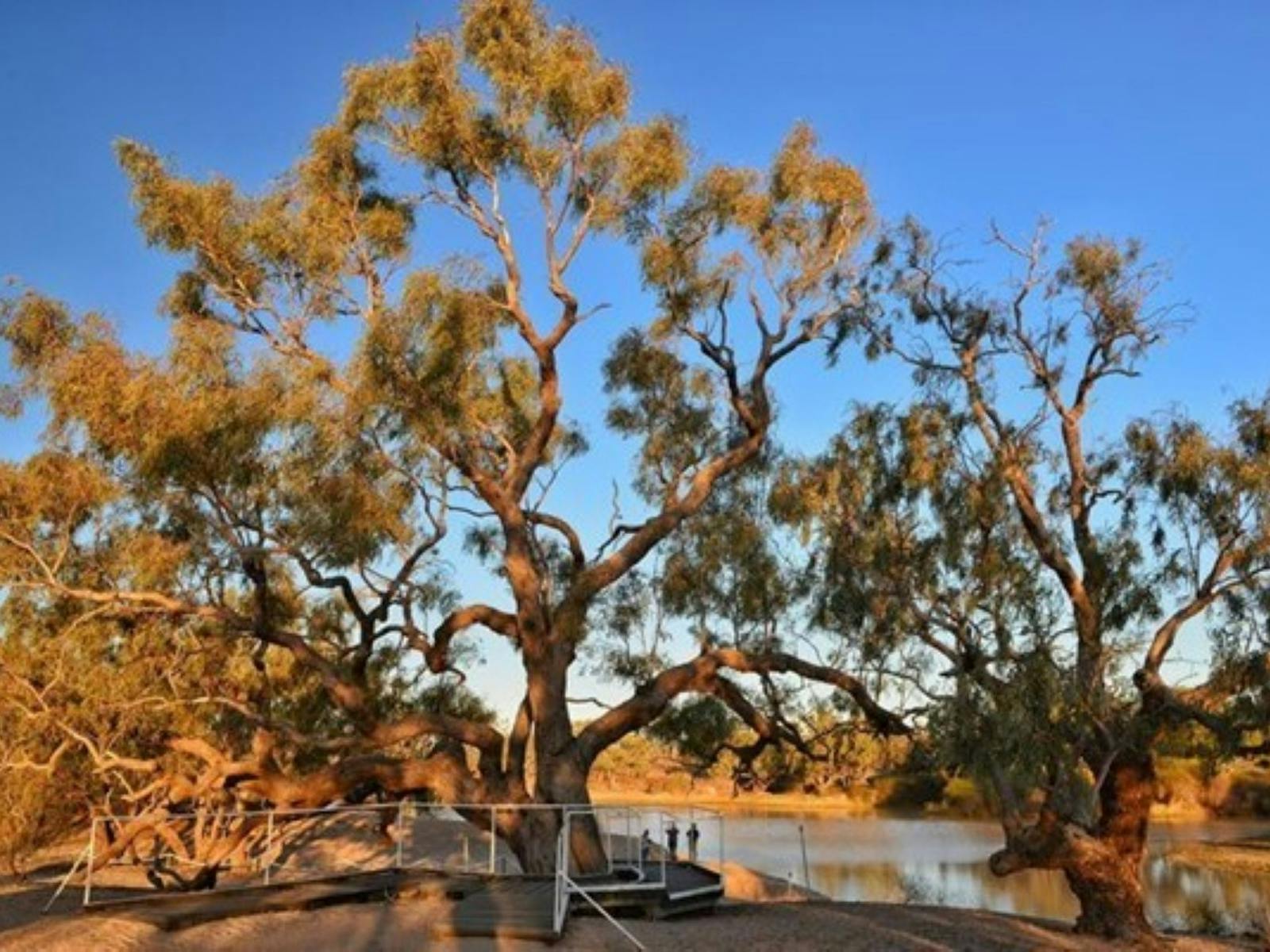 Cullyamurra Waterhole Cullyamurra Waterhole