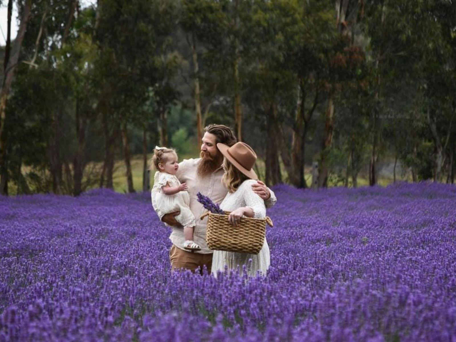 Hahndorf Lavender Estate Farm