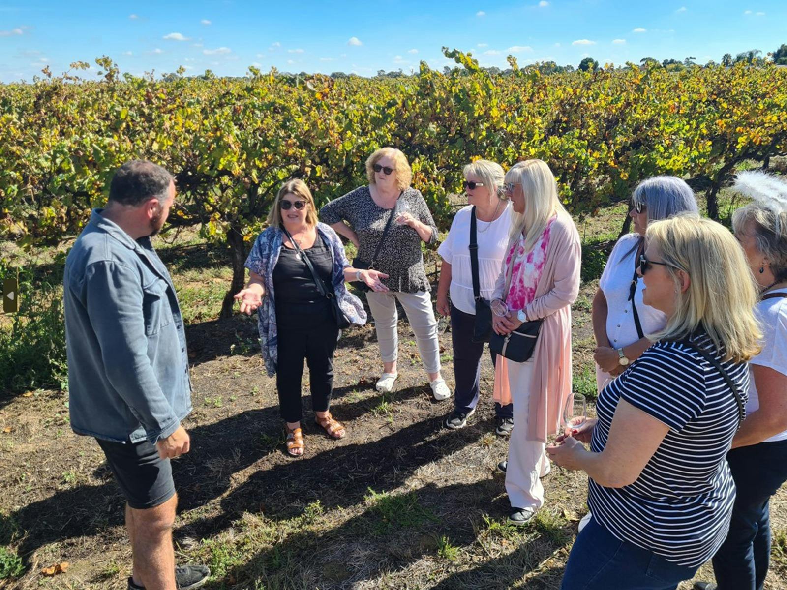 Wine Tasting amongst the vines