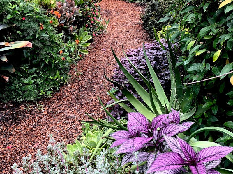 Central Coast Garden Ramble