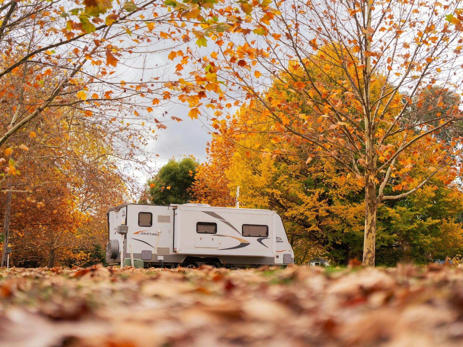 Tumbarumba Caravan Park