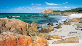 Castle Bay