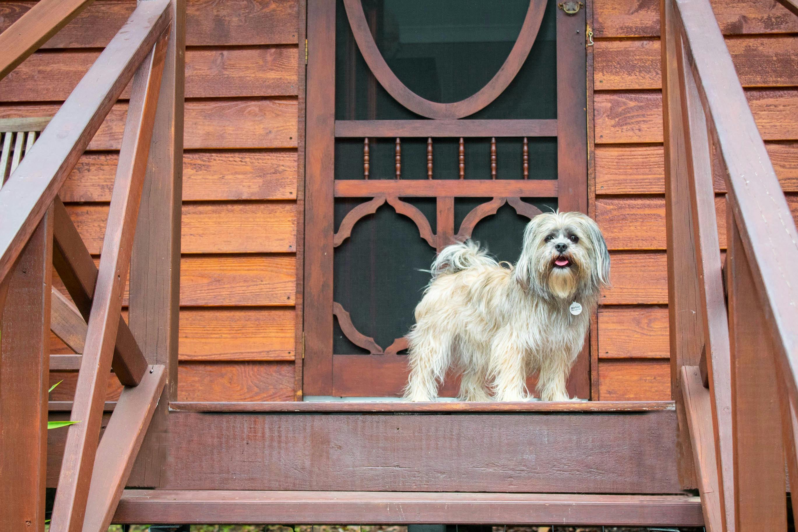Sunshine Valley Cottages