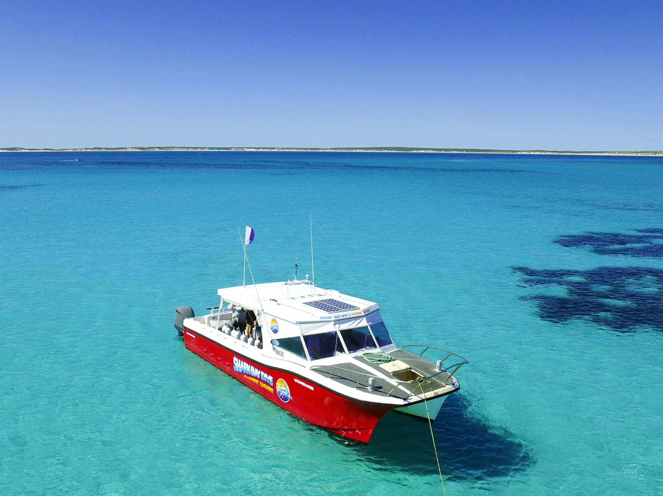 Shark Bay Dive and Marine Safaris, Shark Bay, Western Australia