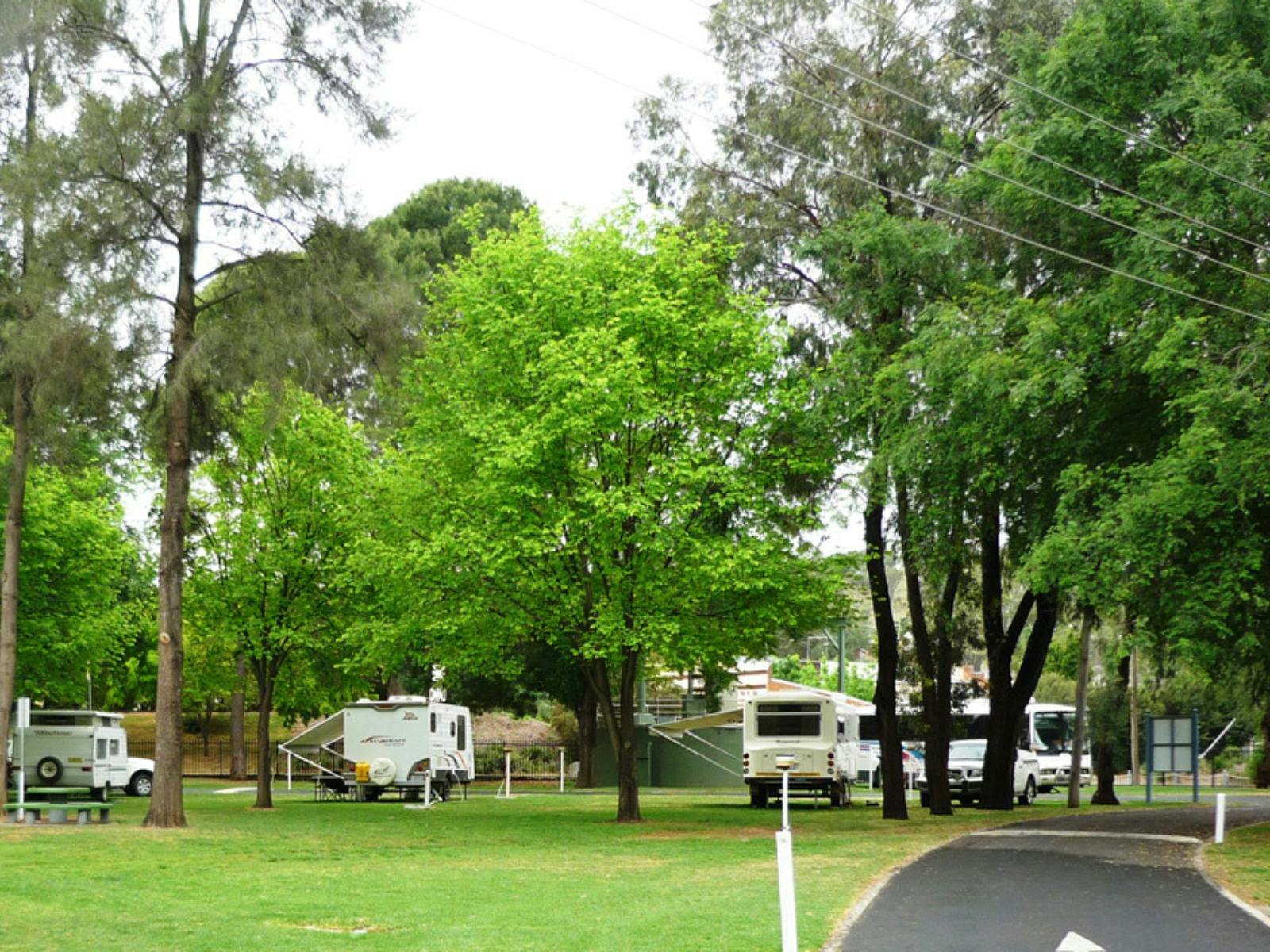 Cowra Van Park