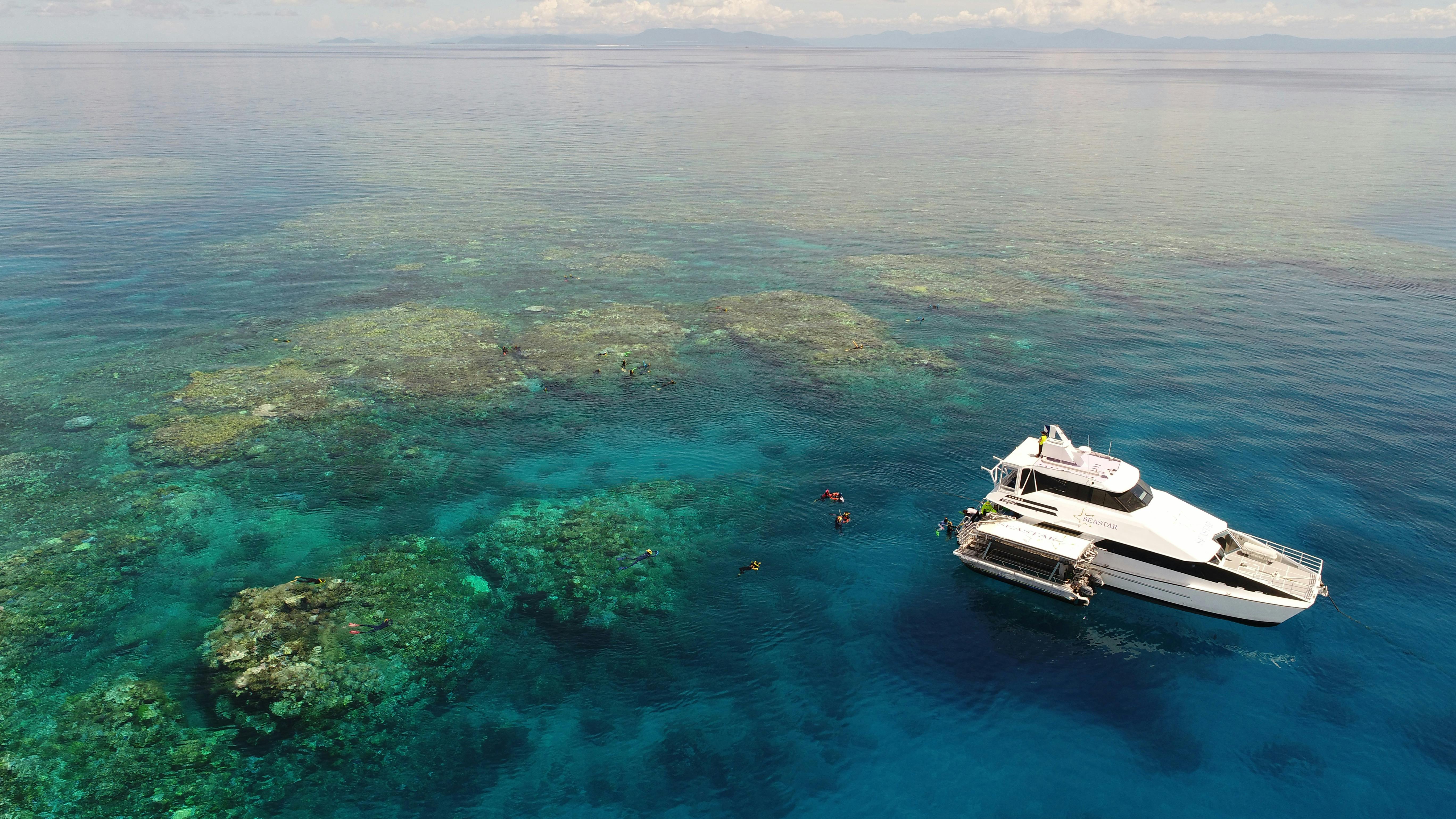 Seastar at Hastings Reef
