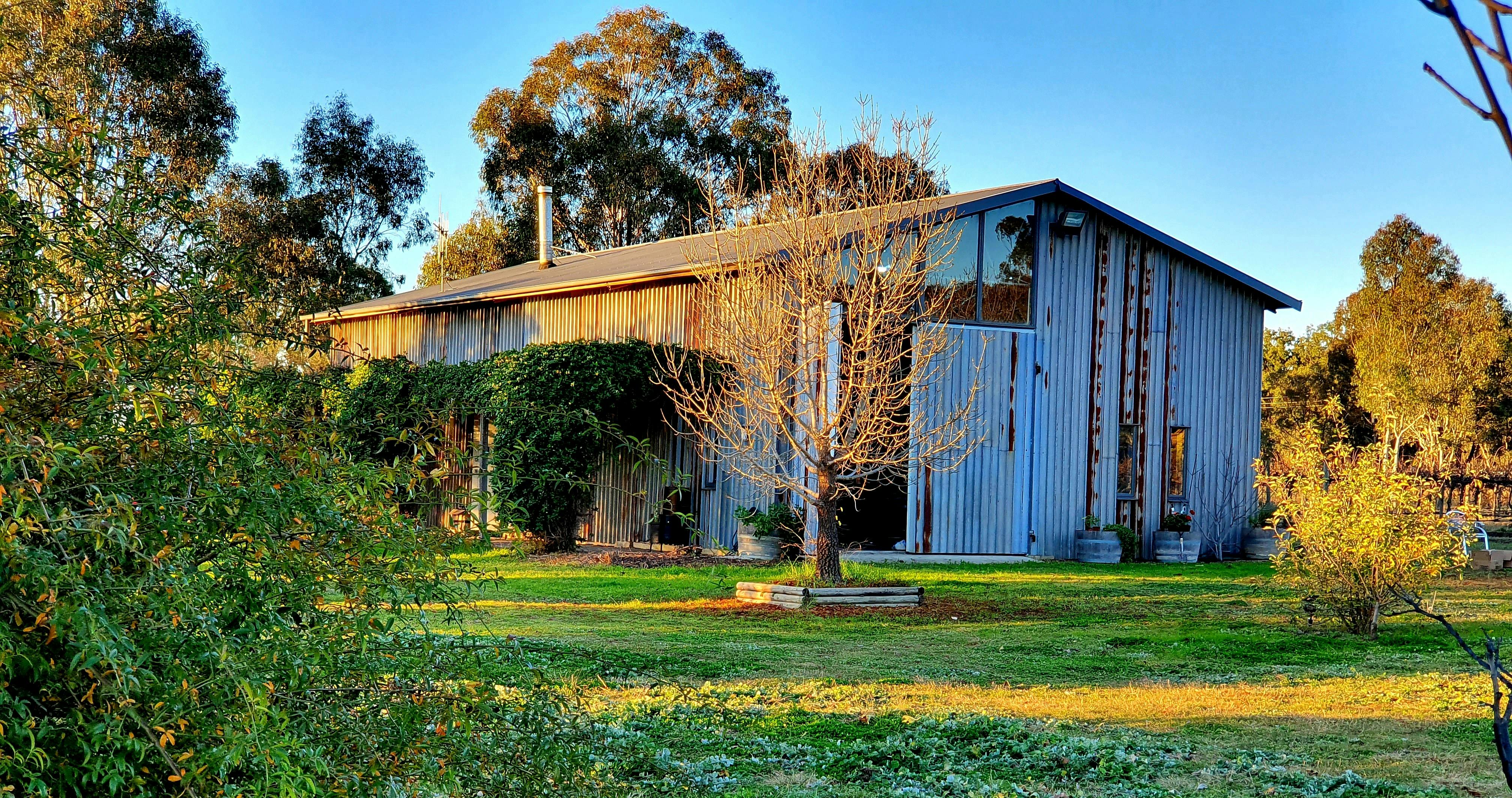 Picture of our rustic shed we converted into the Cellar Door with the lawn and trees in front