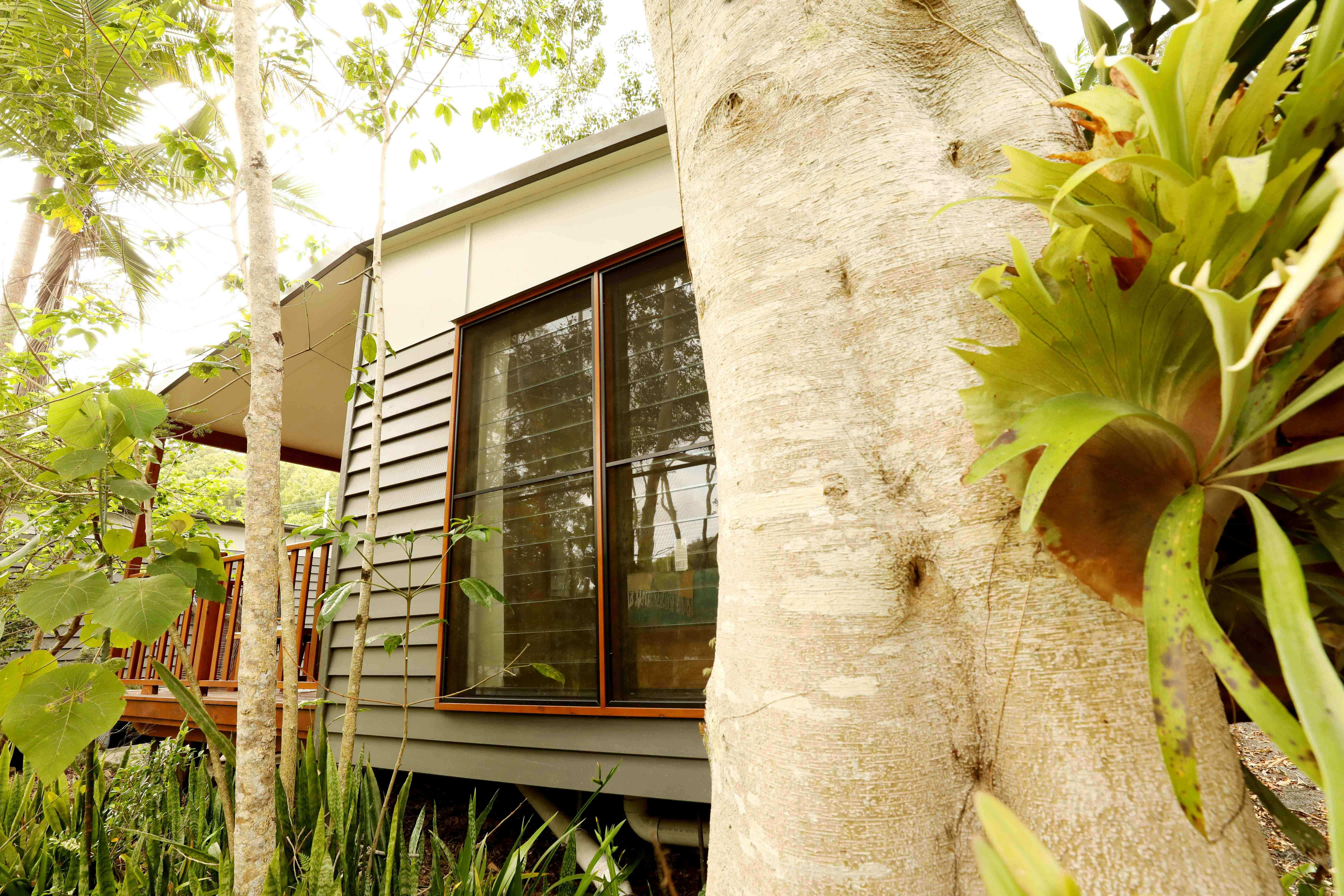 Mt Warning Rainforest Park