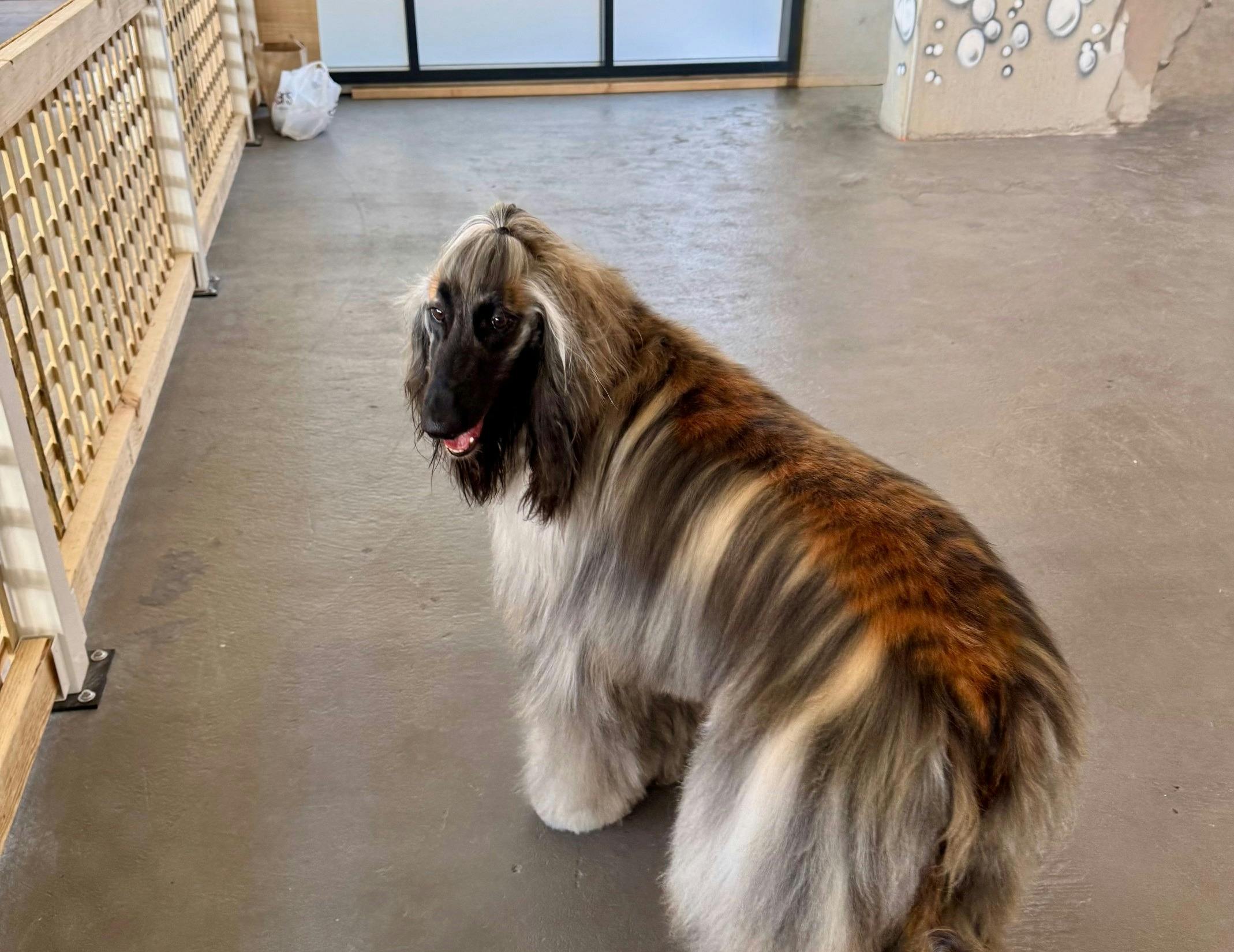 BabaG 咖啡厅和美容沙龙