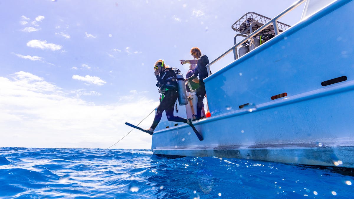 A Diver giant striding off our vessel, Endorphin.