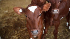 Milawa Cheese Company