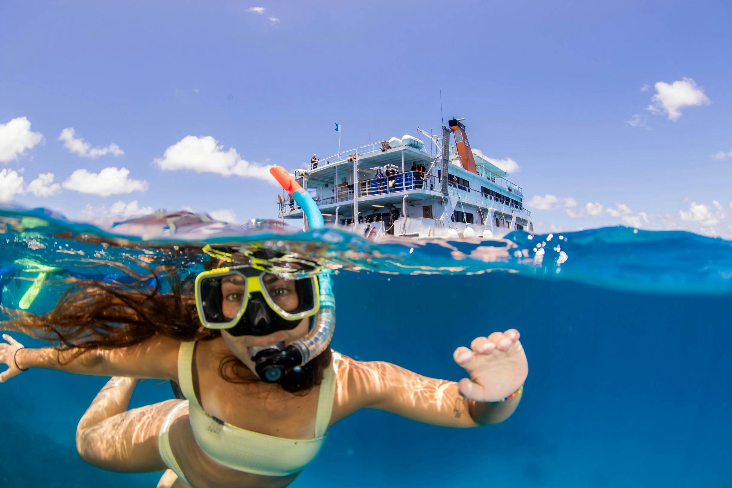 Snorkeler & Reef Encounter