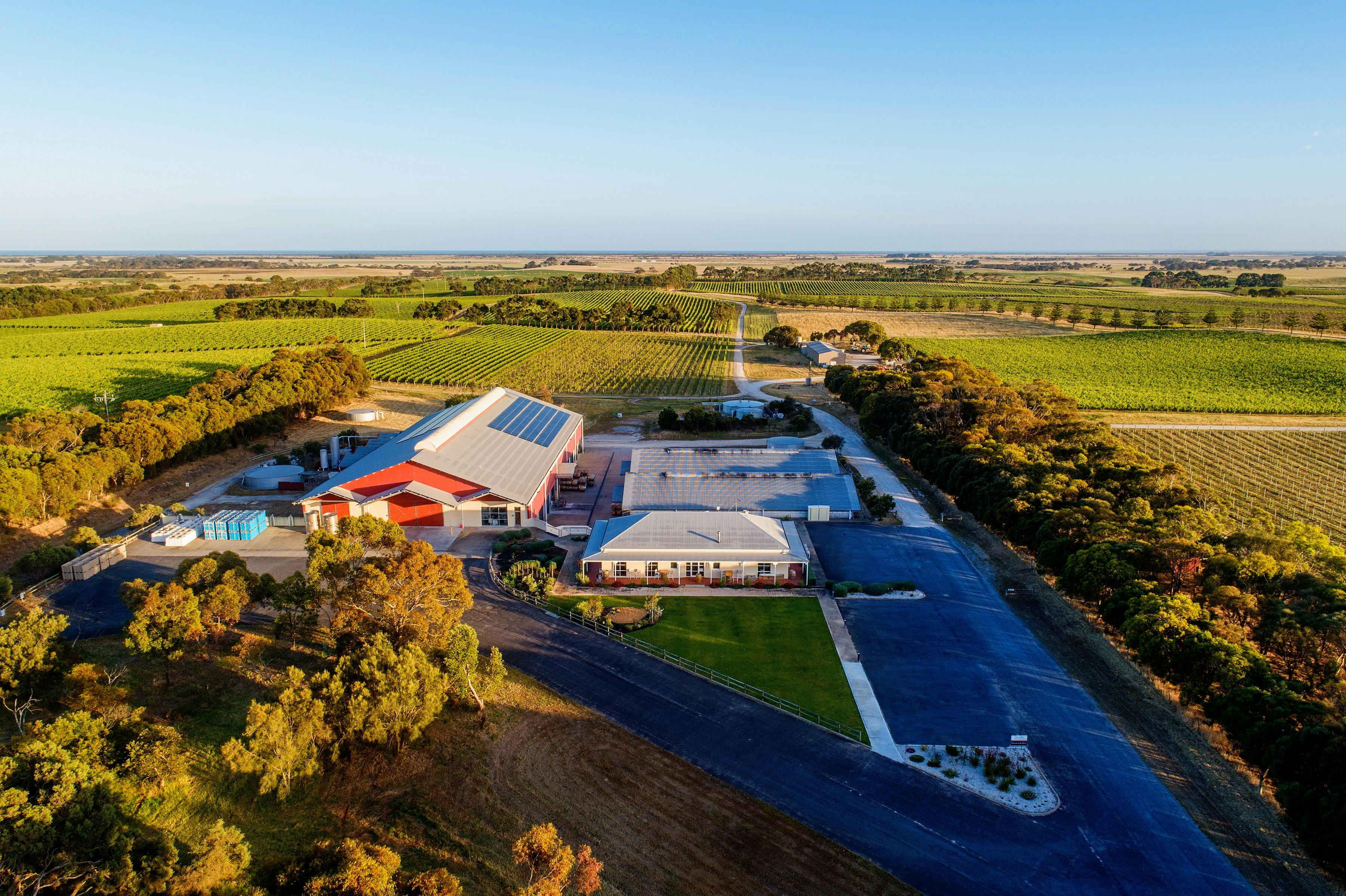 Norfolk Rise Vineyard, Mt Benson