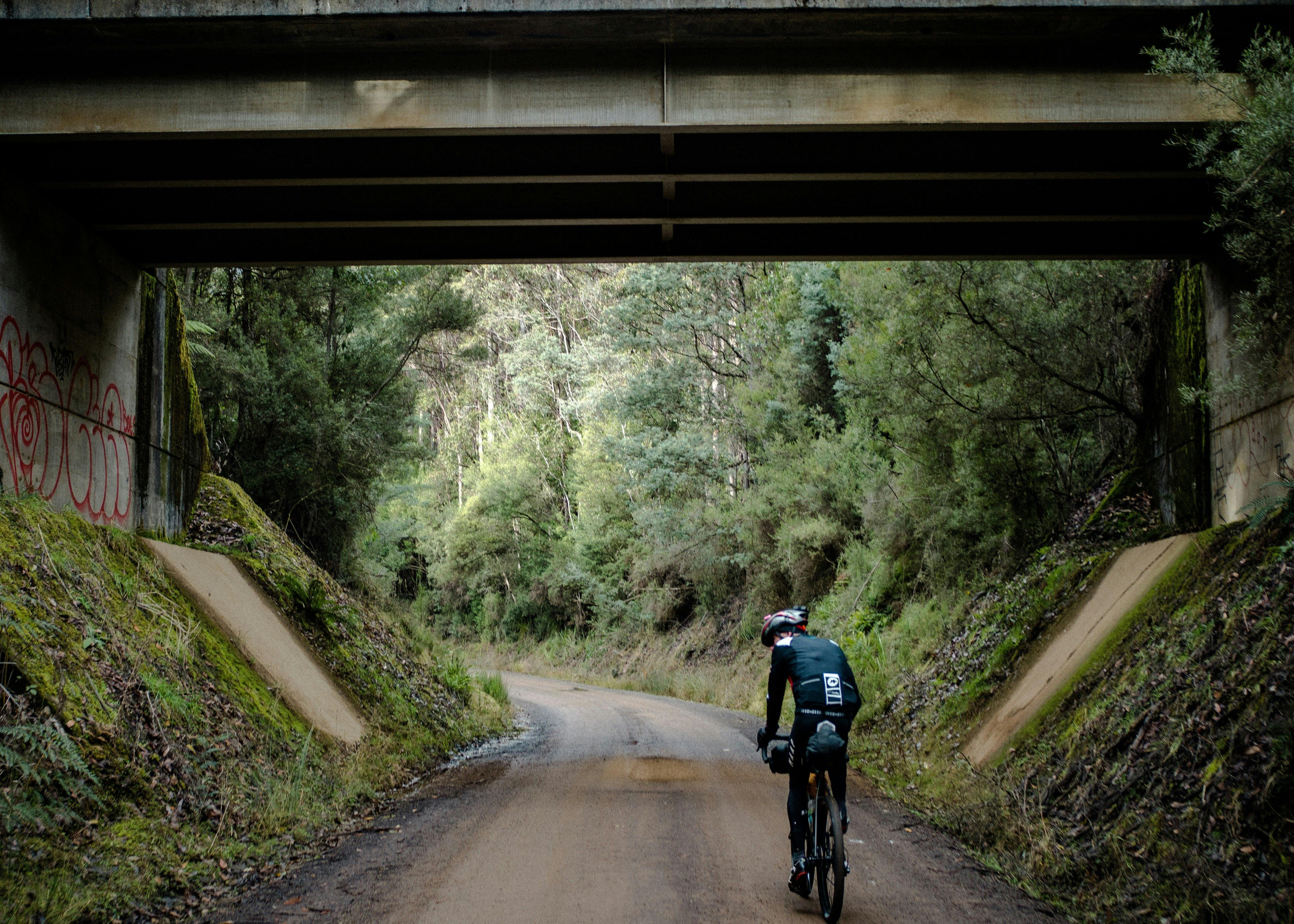 Maydena Forestry region