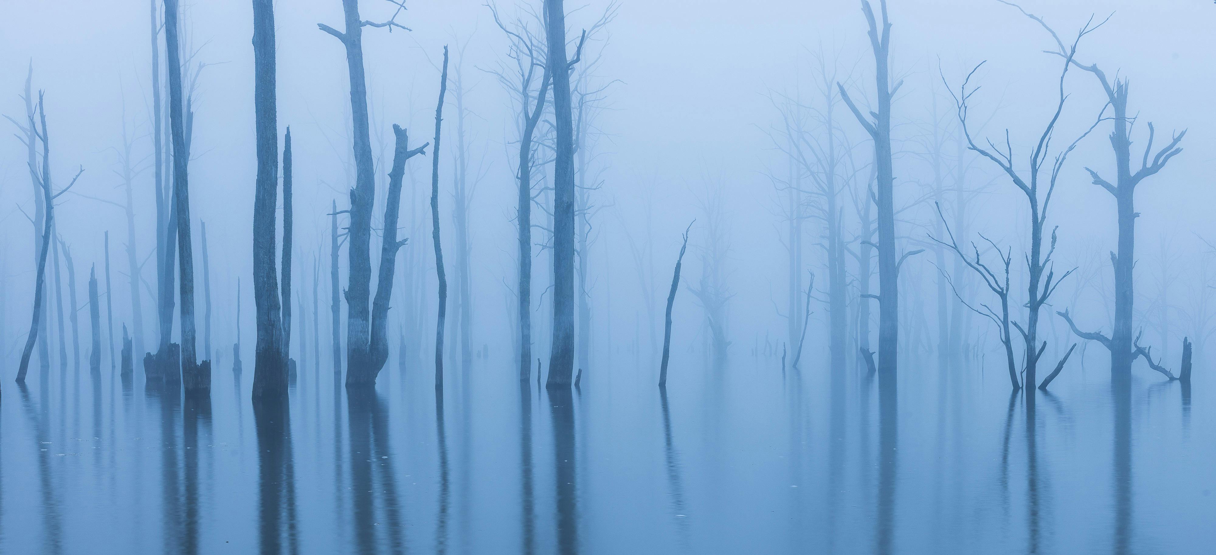 Arthurs Lake