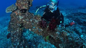 Hutchinson Shoal Dive Site