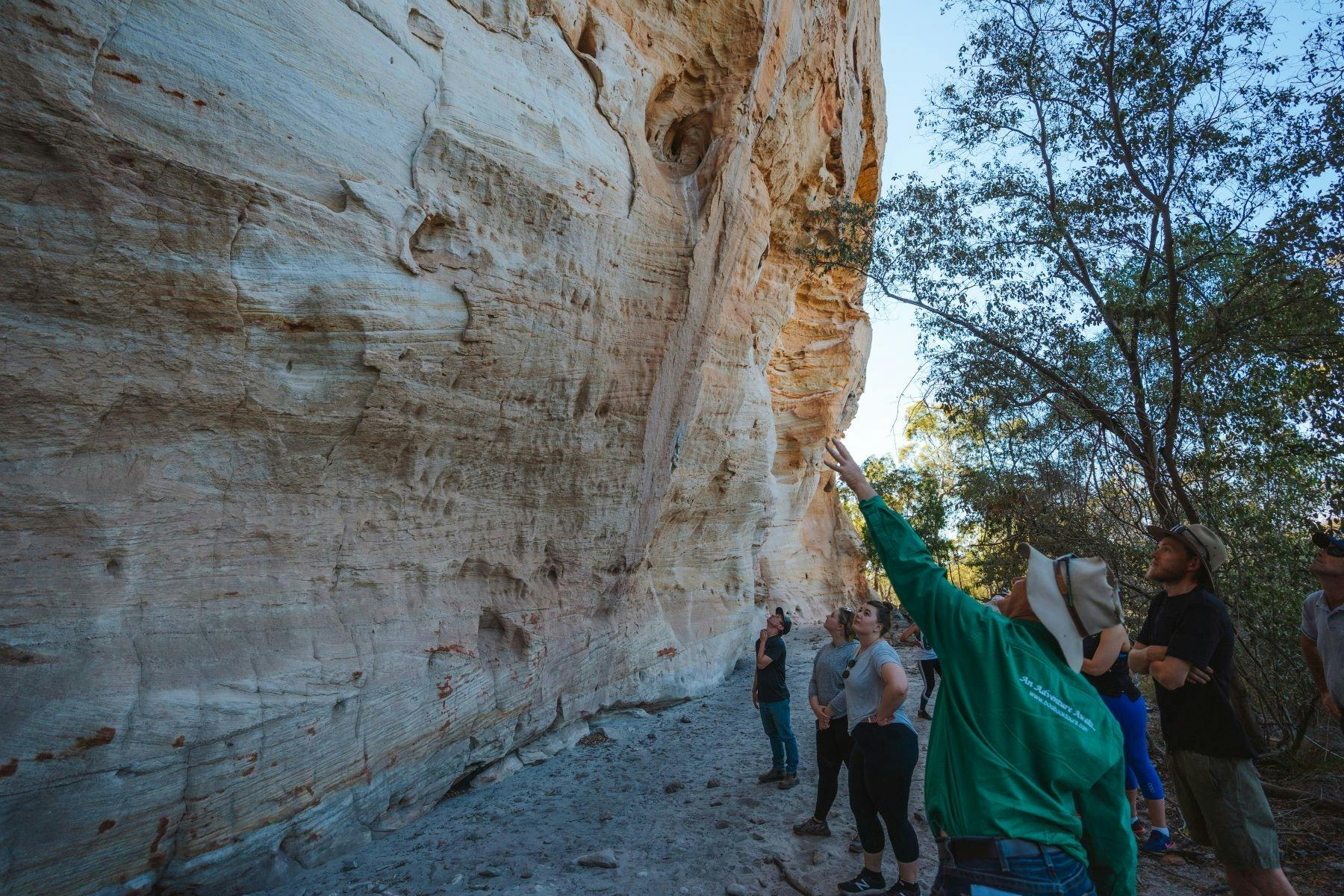 A group of guests looking up at a tall rock face