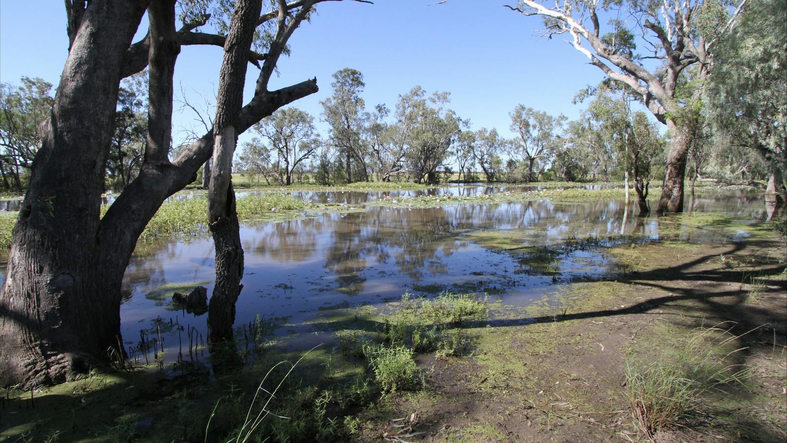 Caliguel Lagoon