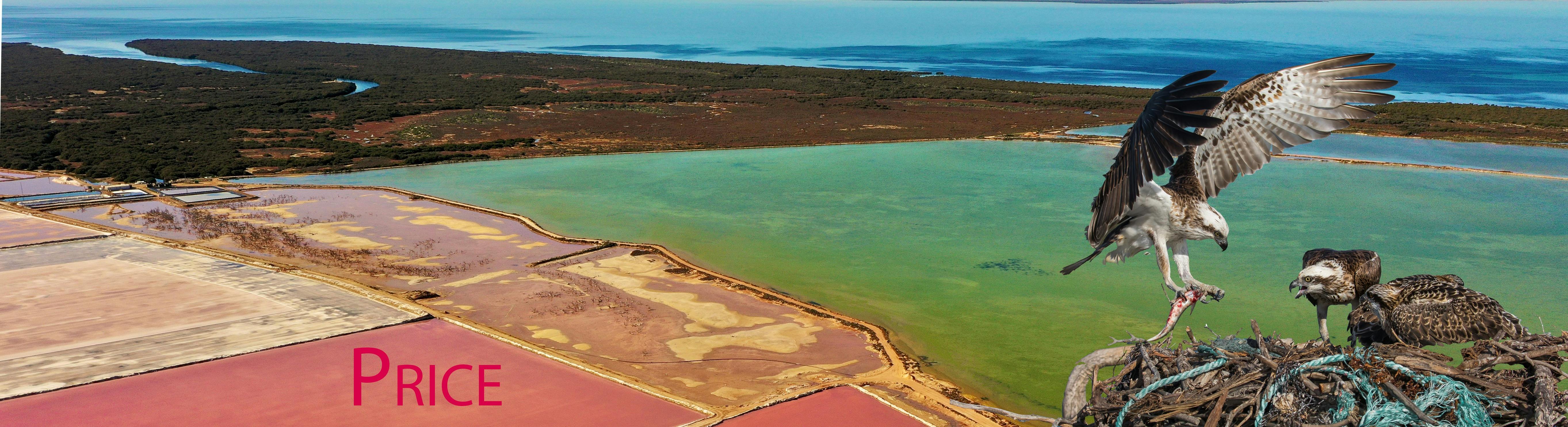 Beautiful colours of salt ponds at price