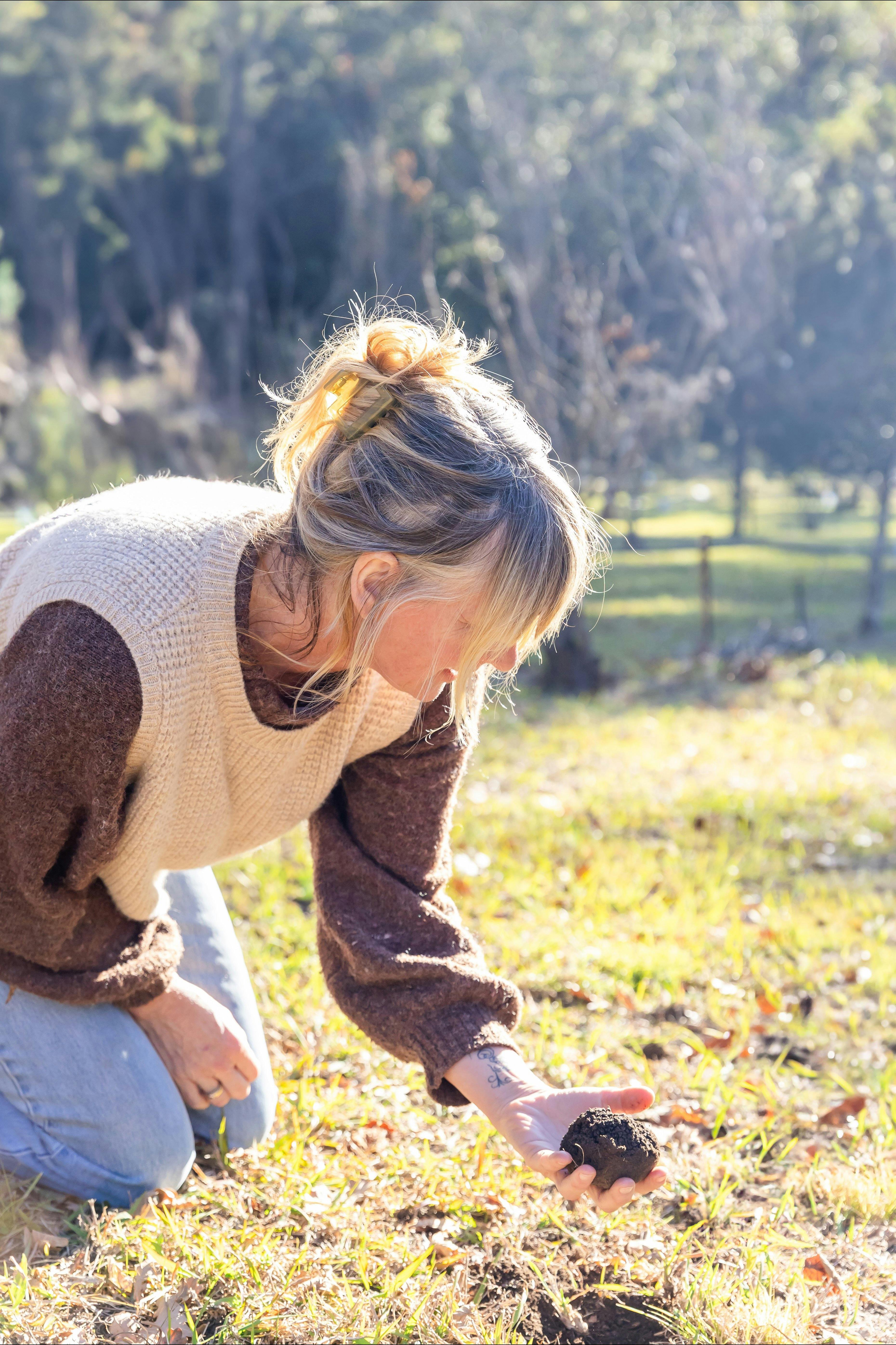 Truffle hunting in misty morning