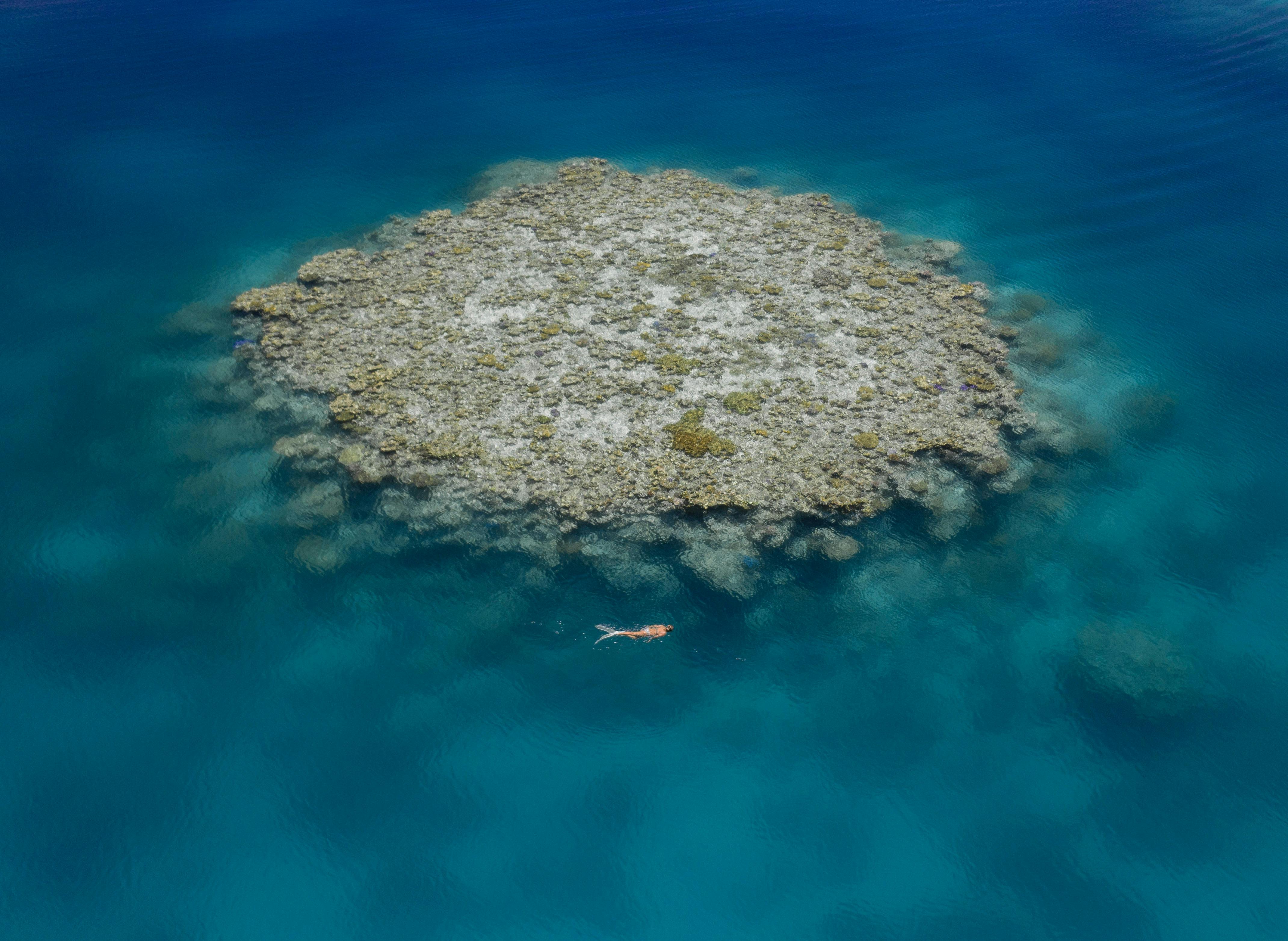 Snorkel the Rowley Shoals