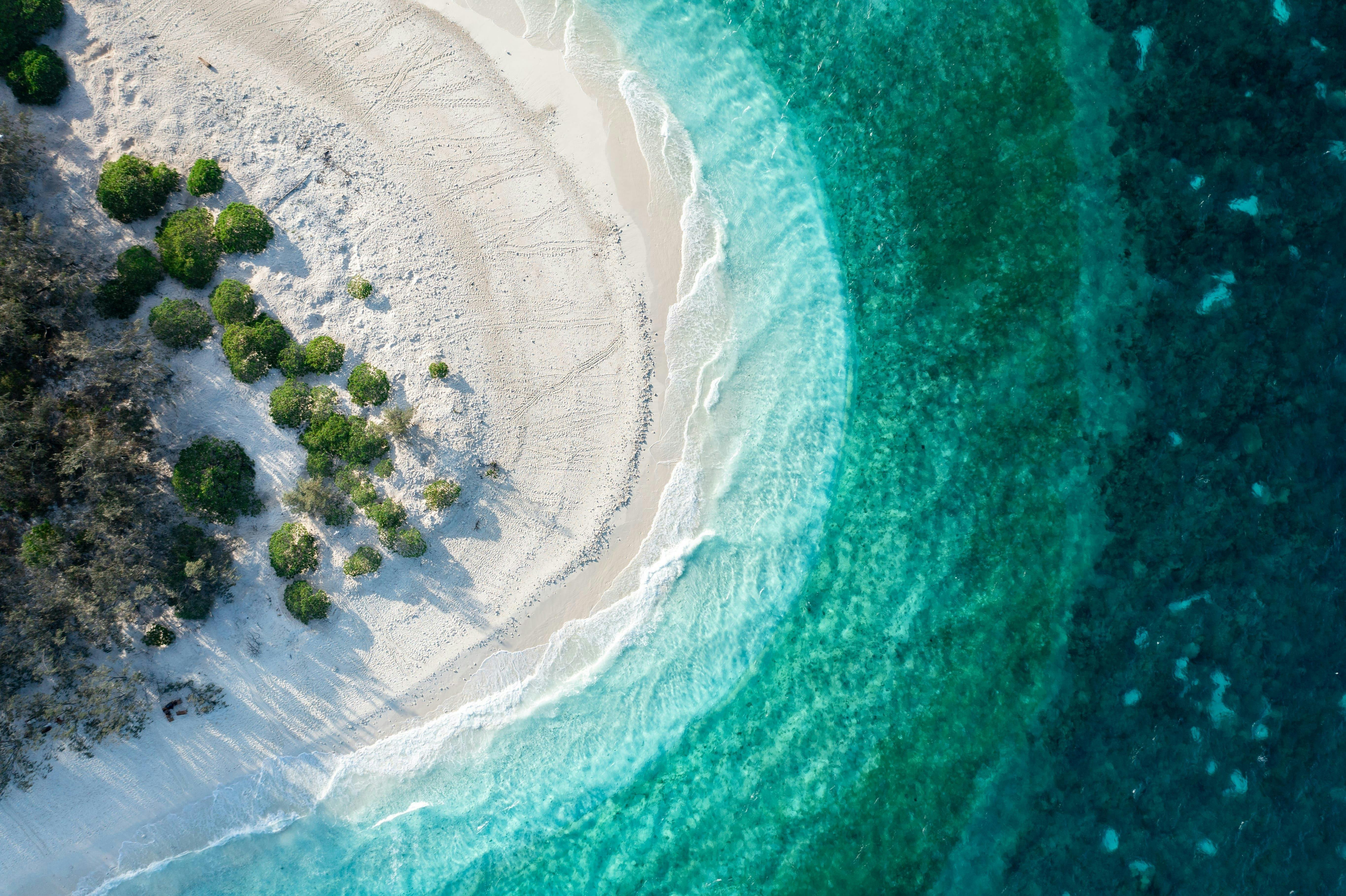 Wilson Island