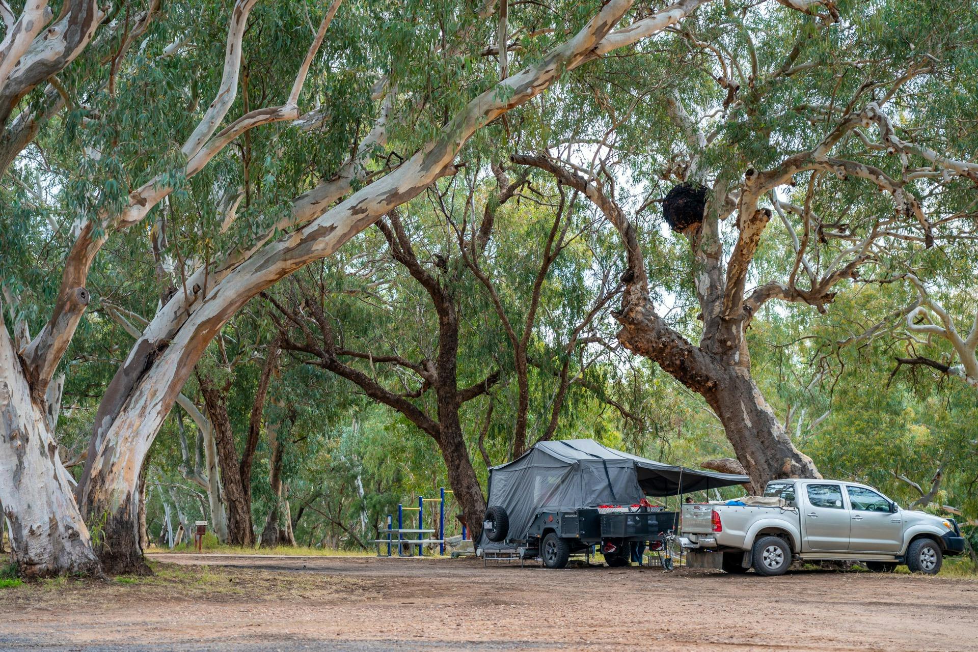 Wallam Creek Campsite