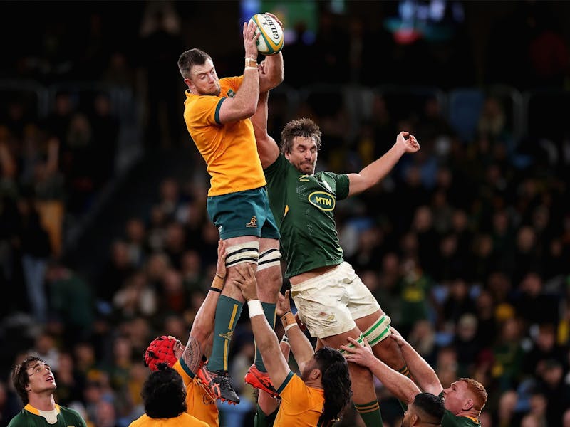Image for Wallabies v South Africa