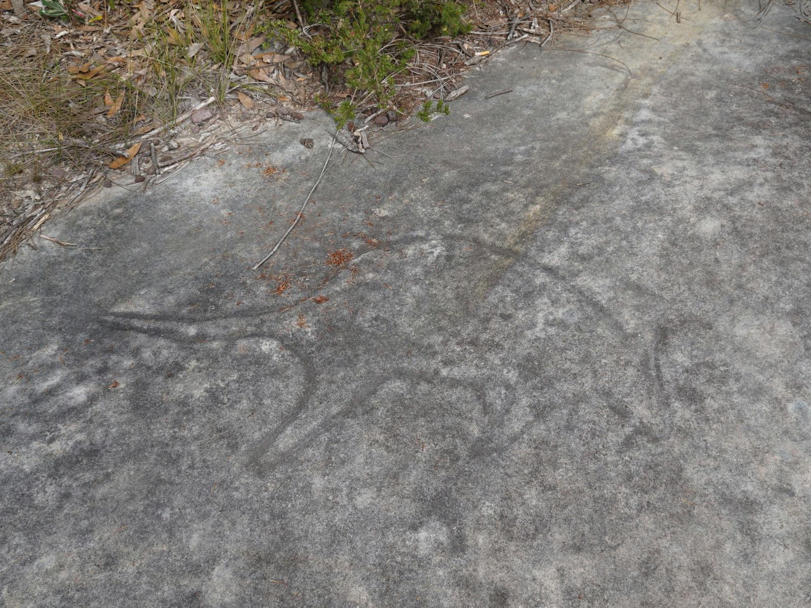 Aboringinal Site