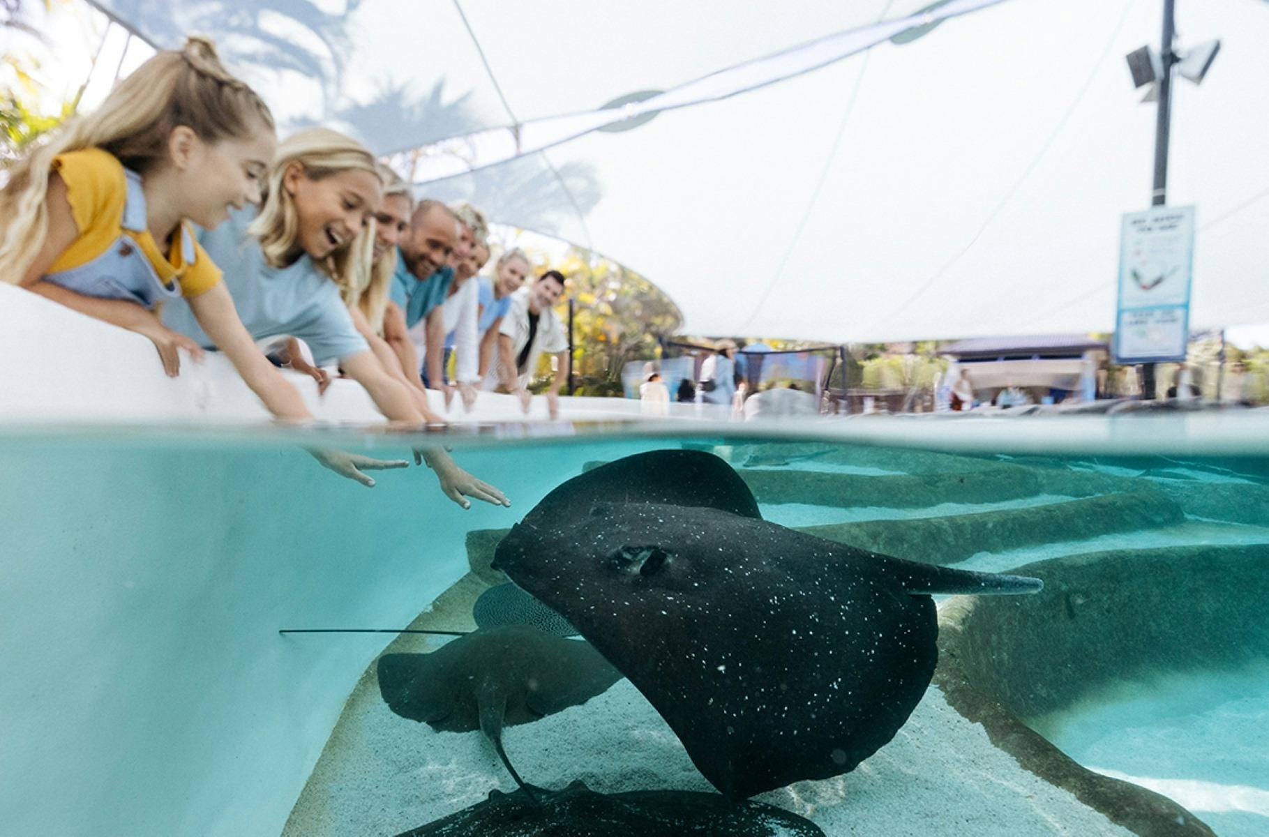 Ray Reef - Sea World