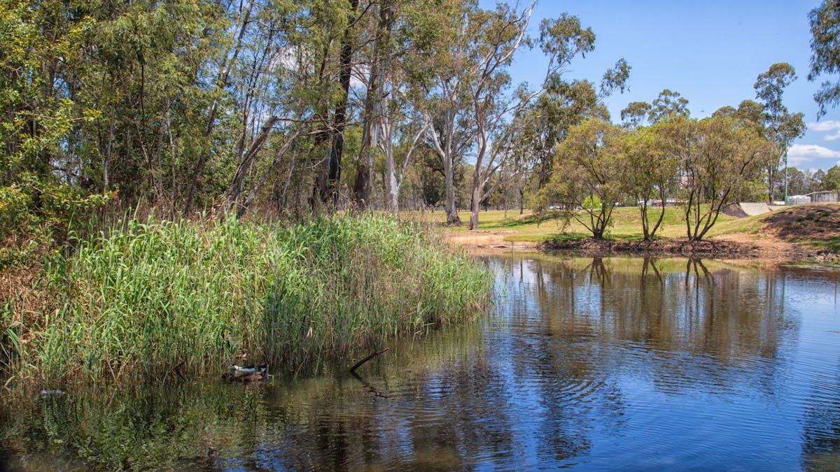 Nanango, South Burnett, Pioneer Park