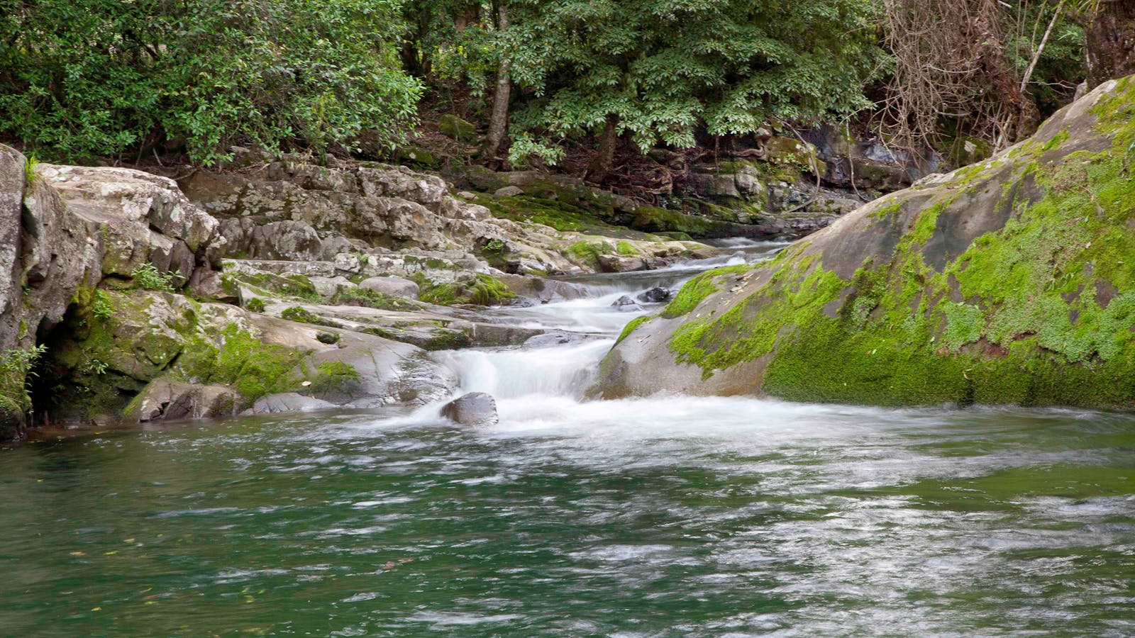 Allyn River, Chichester State Forest
