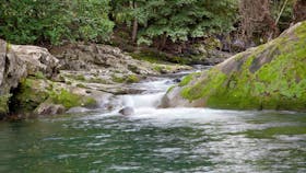 Allyn River, Chichester State Forest