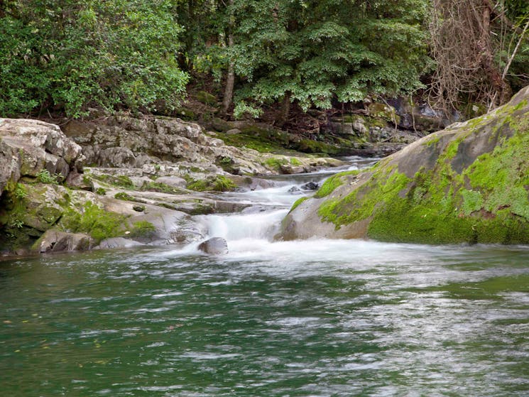 Chichester State Forest - Allyn River