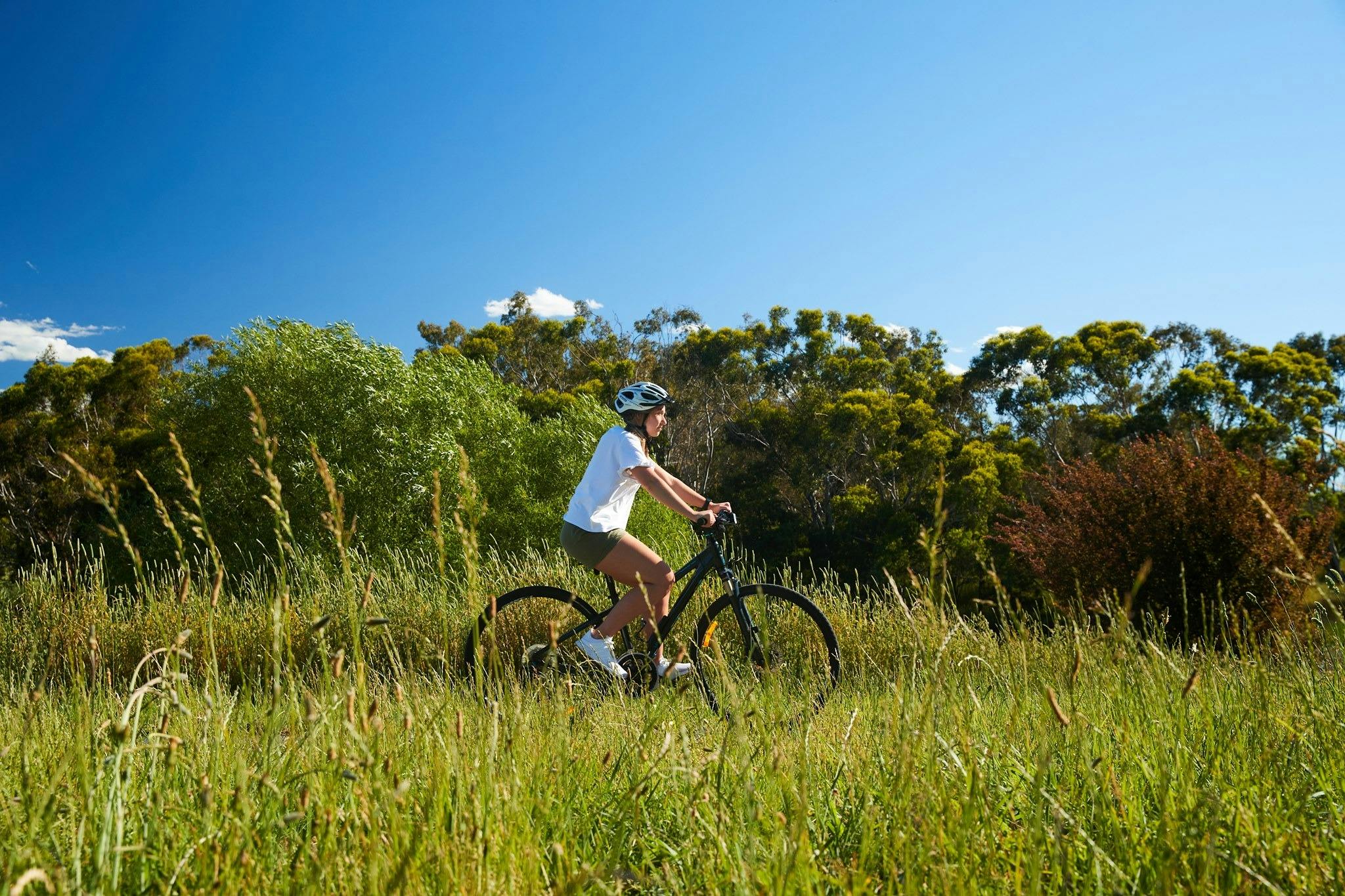 Hamilton – Tarrington Bike Trail