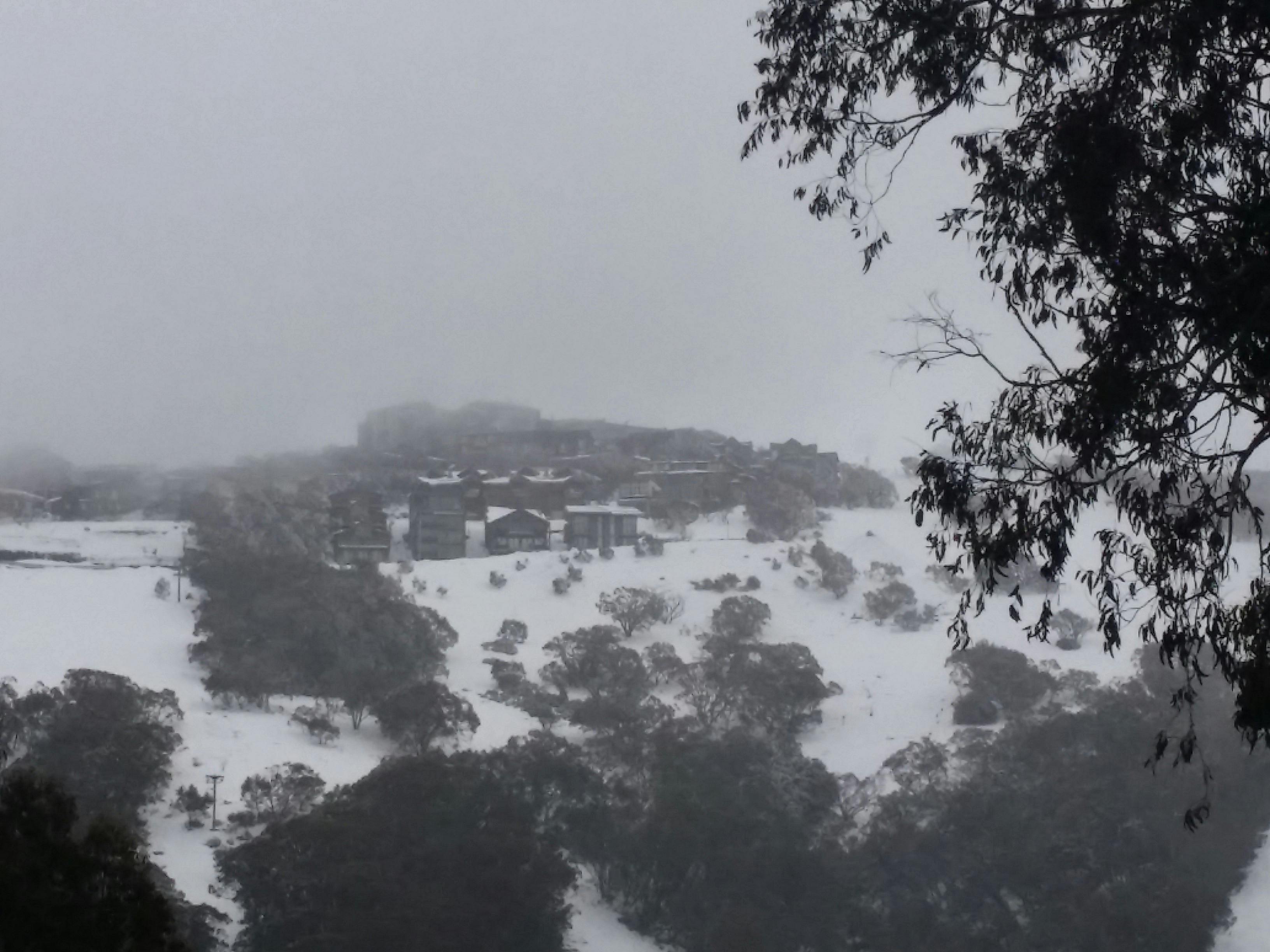 Mt Buller view