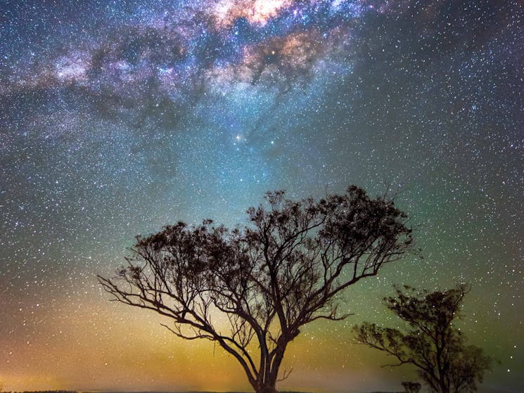 Learn how to photograph the Milky Way on the 2023 Port Macquarie  Masterclass