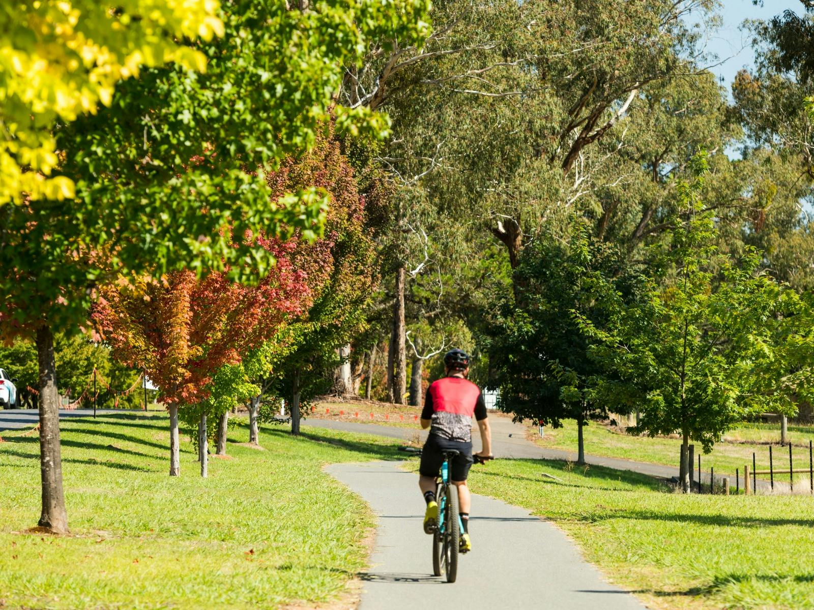 Murray to Mountains Rail Trail