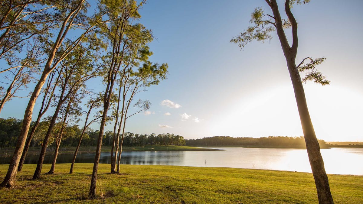 Sun rising above a bank of trees lining a peaceful lake