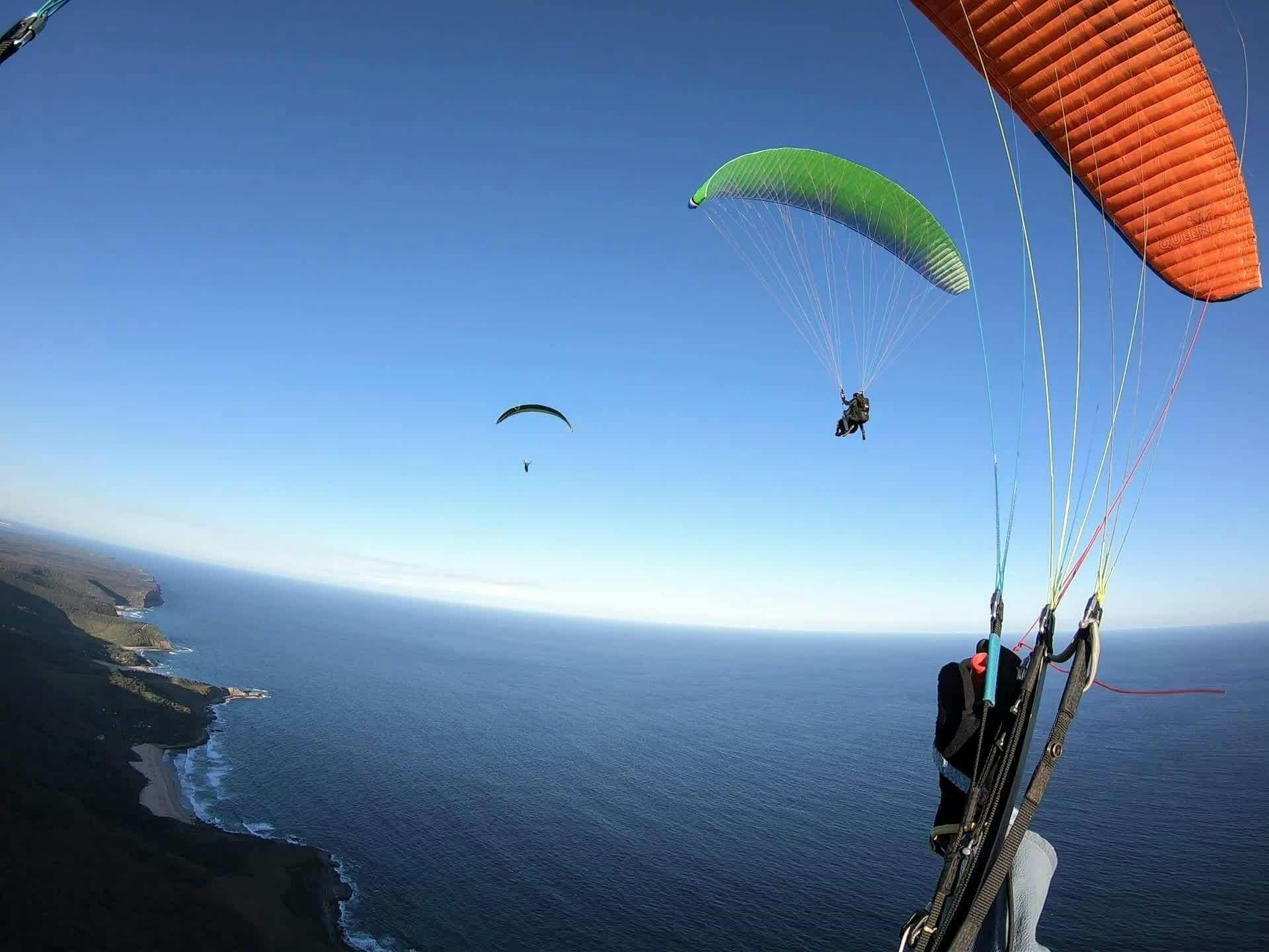 Enjoying the views at Royal National Park