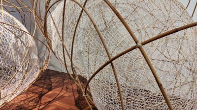 Installation view of Lea Douglas' exhibition