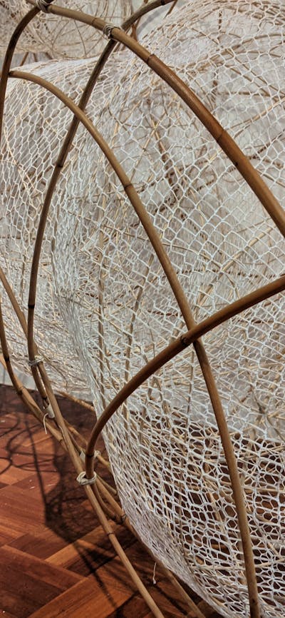 Installation view of Lea Douglas' exhibition