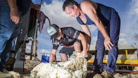 Barcaldine Tree of Knowledge Festival