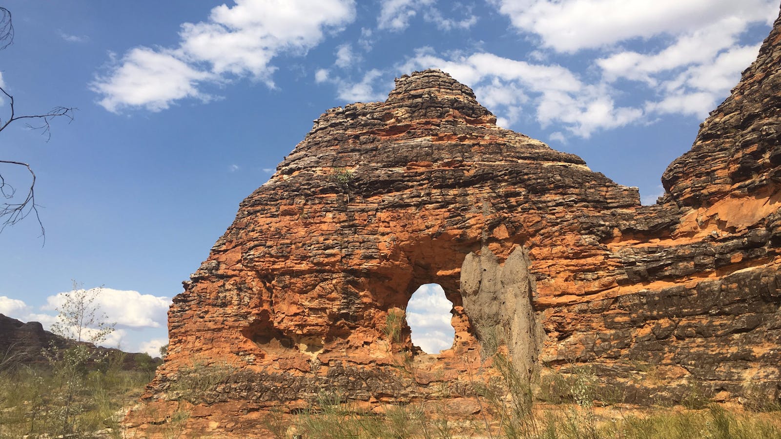 beehive hole