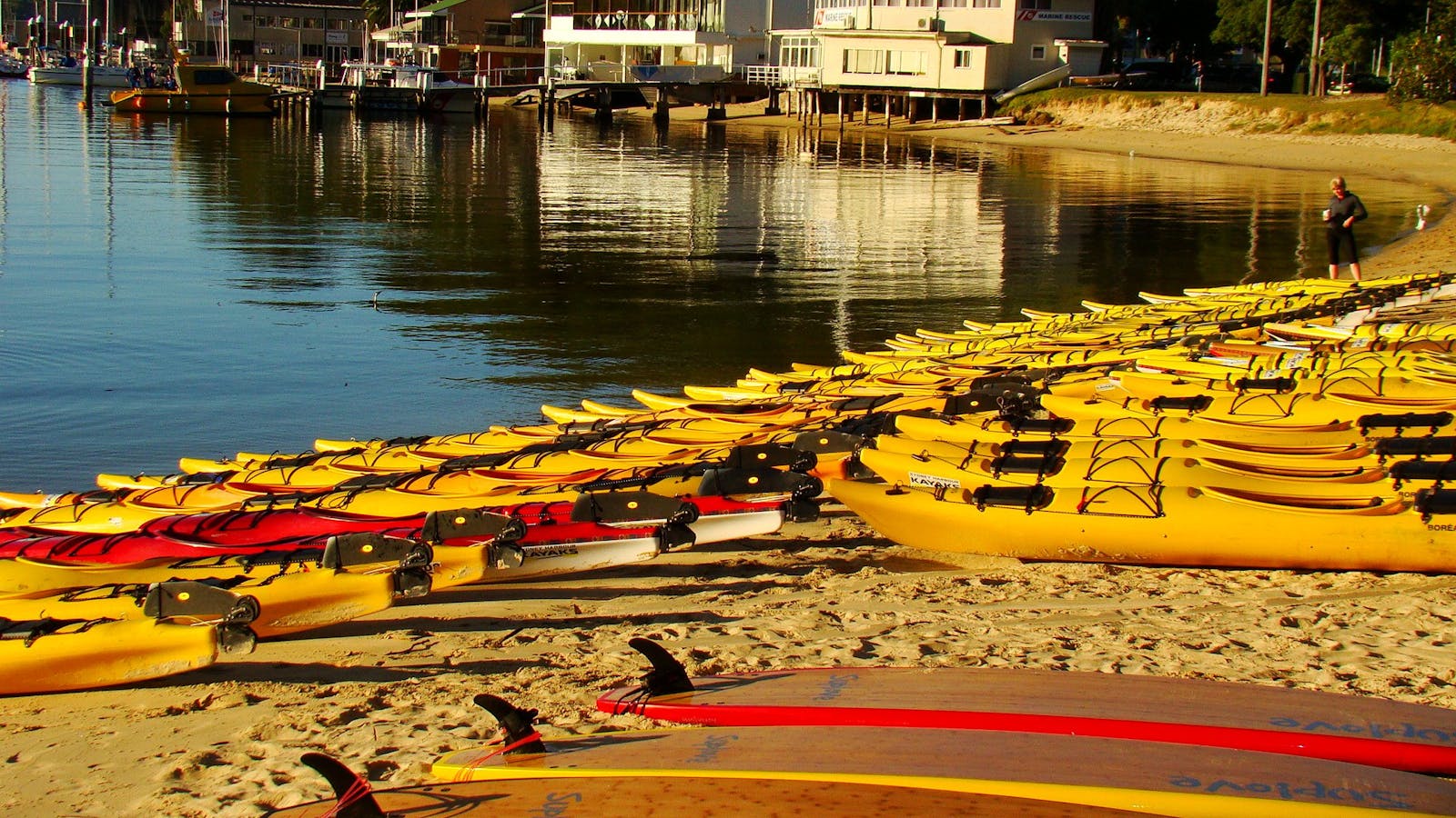 Sydney Harbour Kayaks - Middle Harbour (Mosman)