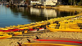 The rental fleet at Sydney Harbour Kayaks is amazing