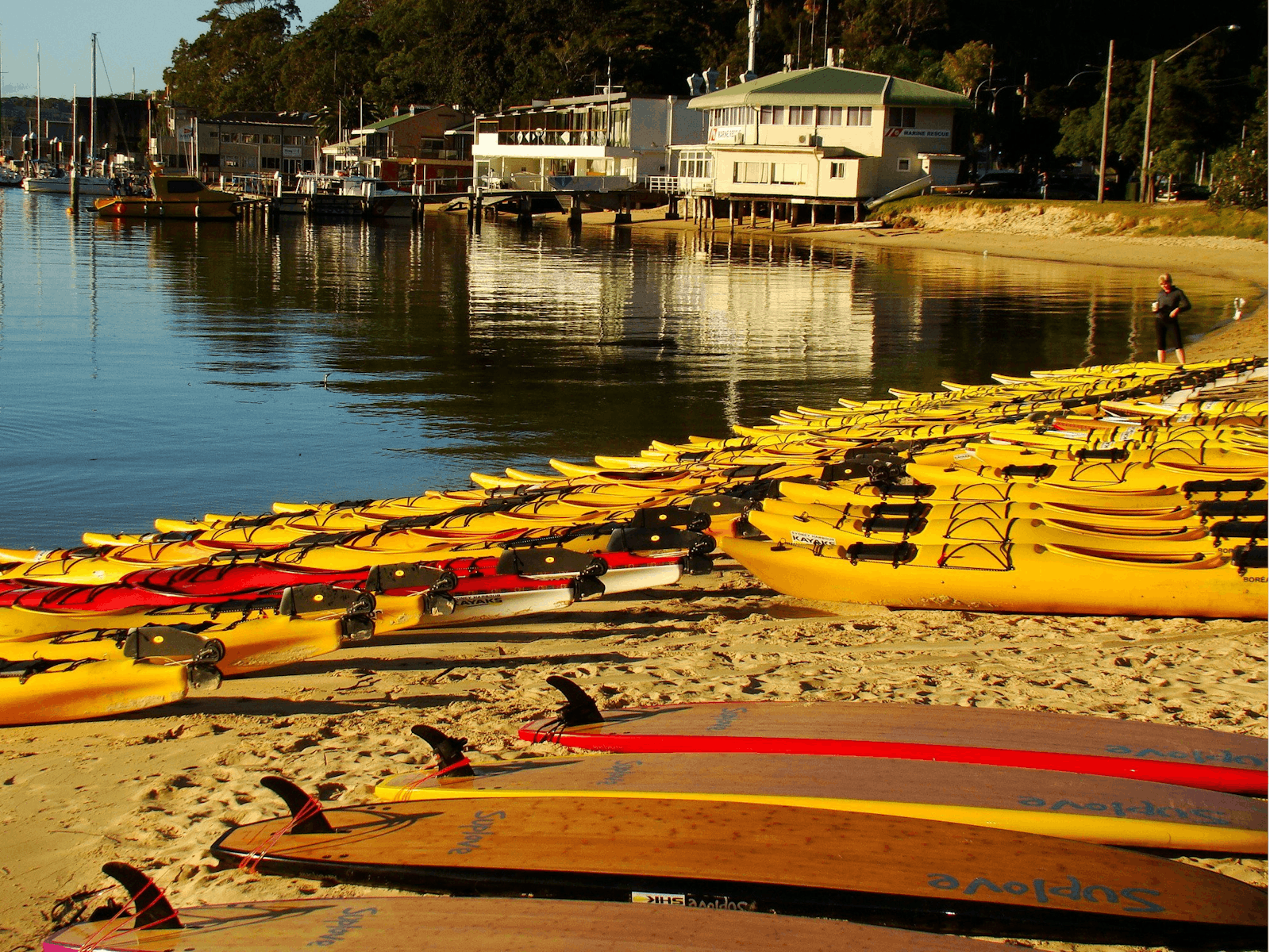The rental fleet at Sydney Harbour Kayaks is amazing